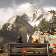 ブラザーズ：2人の息子の物語