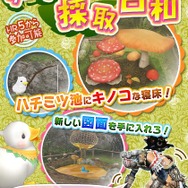 グークの採取日和