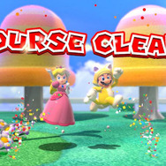 普通にコースクリアするか、やりこみを極めながら進めるか