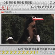 「torne(トルネ)」ついに来ましタ! ニコニコ実況!スクリーンショット