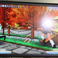 3DS『閃乱カグラ2 ―真紅―』発表!グラフィックリソースを一新し、その全てが立体視に対応 ― 協力プレイも