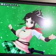 3DS『閃乱カグラ2 ―真紅―』発表!グラフィックリソースを一新し、その全てが立体視に対応 ― 協力プレイも