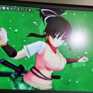 3DS『閃乱カグラ2 ―真紅―』発表!グラフィックリソースを一新し、その全てが立体視に対応 ― 協力プレイも