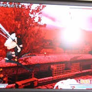 3DS『閃乱カグラ2 ―真紅―』発表!グラフィックリソースを一新し、その全てが立体視に対応 ― 協力プレイも