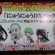 3DS『閃乱カグラ2 ―真紅―』発表!グラフィックリソースを一新し、その全てが立体視に対応 ― 協力プレイも