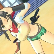 『閃乱カグラ SHINOVI VERSUS -少女達の証明-』