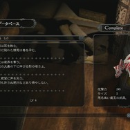 ウェポンストーリー。武器を強化すれば続きが読めるようになる。収集して終わり、じゃないのだ