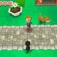 『牧場物語 つながる新天地』動物たちと触れ合える新要素「サファリ」の最新情報をチェック