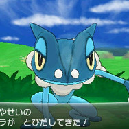 『ポケットモンスター X・Y』カロス地方に潜むもう1匹の伝説のポケモン「ジガルデ」登場、殿堂入り後の冒険を楽しもう