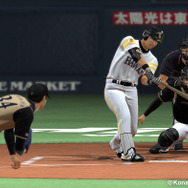 プロ野球スピリッツ 2014』PS3/PS Vita/PSPで3月に発売！最新