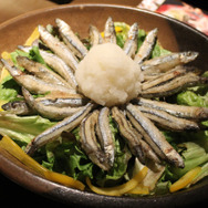 「破願一望 翠緑なる曼茶羅模様の過ち ~逆刀薙の切層サラダ~」