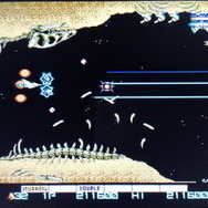 巨大生物の骨が横たわる比較的狭い空間の中、骨は被弾すると当たり判定のある骨片を撒き散らし……