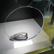 ティラノサウルスの歯