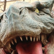 看板娘もホッと胸をなで下ろす迫力「モンスターハンター・ザ・リアル 2014」等身大ティガレックスの大咆哮