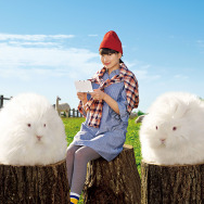 イメージビジュアル