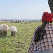 『牧場物語 つながる新天地』イメージガールに人気女優・大野いとさん起用！アンゴラウサギと共演