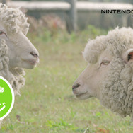 『牧場物語 つながる新天地』イメージガールに人気女優・大野いとさん起用！アンゴラウサギと共演