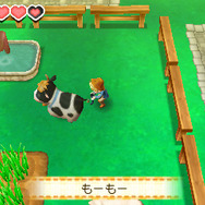 牧場物語 つながる新天地