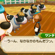 『牧場物語 つながる新天地』樫の木タウンで開催されるお祭りイベント、審査員は「マツバ」「サフラン」「ワンタタン」