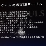 「果ての篝火」で確認できる情報