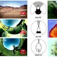 『牧場物語 つながる新天地』世界初！動物達の視野角を再現した映像が公開