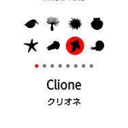 メニューの「SOUL」から、これまでに転生した生命体を確認できます。