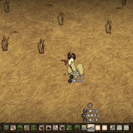 序盤はとにかく採取、採取、採取！目につくものはとりあえず拾う。そして、食べてみる！