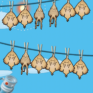 【あぴゅレビュ！】第57回 『なめこ』好きならハマるかも。超左斜め上を突き詰めた『超体験！エイのひものつくり』がキてる