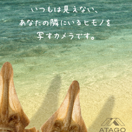 【あぴゅレビュ！】第57回 『なめこ』好きならハマるかも。超左斜め上を突き詰めた『超体験！エイのひものつくり』がキてる