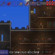 モノづくりアクションアドベンチャー『テラリア』 PS3/Vita版の出荷本数20万本突破!