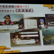 やり込み要素満載の「流浪演武」