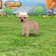 あなたの手のひらで可愛いワンコを飼いませんか？ー「てのひらワンコ」事前登録実施中