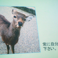 【BitSummit 14】常に自分を信じて―『キャックラ』The Behemothからインディー開発者へのメッセージ