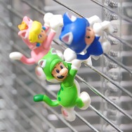 壁(?)を登ってみたり