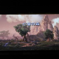 最新情報から悠木さんのヒールの秘密まで！『ブレイドアンドソウル』製作発表会レポート ─ 中国基準では厳しい露出度、日本では果たして？