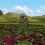 『MHFG』穿龍棍・フォロクルル・花畑の続報 ― さらに、極限征伐戦の新展開も