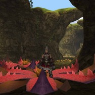 『MHFG』穿龍棍・フォロクルル・花畑の続報 ― さらに、極限征伐戦の新展開も