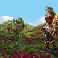 『MHFG』穿龍棍・フォロクルル・花畑の続報 ― さらに、極限征伐戦の新展開も