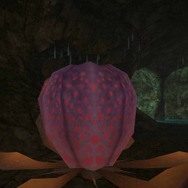 『MHFG』穿龍棍・フォロクルル・花畑の続報 ― さらに、極限征伐戦の新展開も