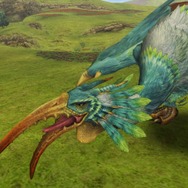 『MHFG』穿龍棍・フォロクルル・花畑の続報 ― さらに、極限征伐戦の新展開も