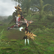 『MHFG』穿龍棍・フォロクルル・花畑の続報 ― さらに、極限征伐戦の新展開も