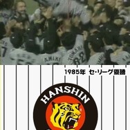 阪神タイガースDS