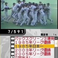 阪神タイガースDS