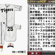 阪神タイガースDS