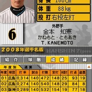 阪神タイガースDS