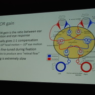【GDC 2014】先駆者だからわかるVRゲームの細かなノウハウが一挙公開