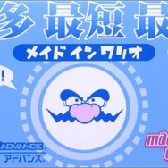 メイド イン ワリオ