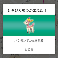 やせいのポケモンを発見!