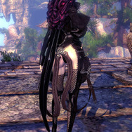 PC向けMMORPG『ブレイドアンドソウル』先行体験特典も付くパッケージ版の情報が明らかに