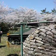 陸上自衛隊土浦駐屯地で戦車と一緒にお花見をしてきた